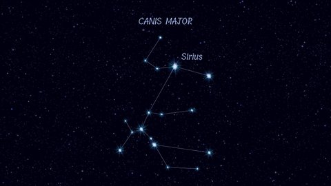Canis Major (The Great Dog) constellation, gradually zooming rotating image with stars and outlines, 4K educational video 