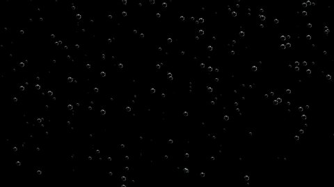 Air Bubbles Rise Up On Stock Footage Video 100 Royalty Free 1024770479 Shutterstock