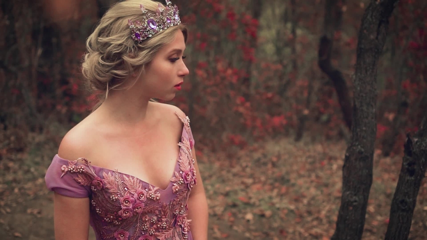 elegant princess blonde. sad eyes looking at camera. Attractive cute face. Medieval fashion beautiful dress corset 3D lace flowers. Elegant hairstyle with silver crown purple crystals. Nature backdrop