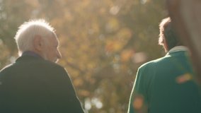 Back view of elderly couple holding hands while walking together in park . Rear view of romantic senior couple resting , relaxing in nature . Happiness people lifestyle . Slow motion footage . - Powered by Shutterstock - Get 15% off with code: PIKWIZARD15