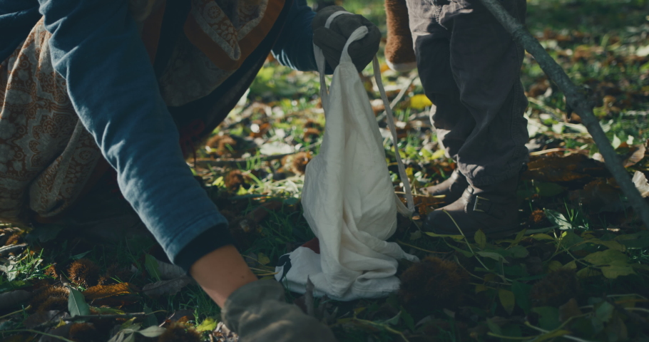 A little toddler with a teddybear is helping his mother forage in the woods