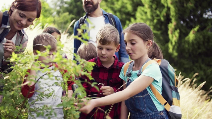 Group of school children with teacher on field trip in nature, learning science. Royalty-Free Stock Footage #1041328285