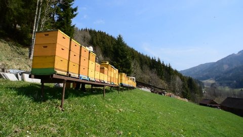 View on Austrian styrian valley with bee hives