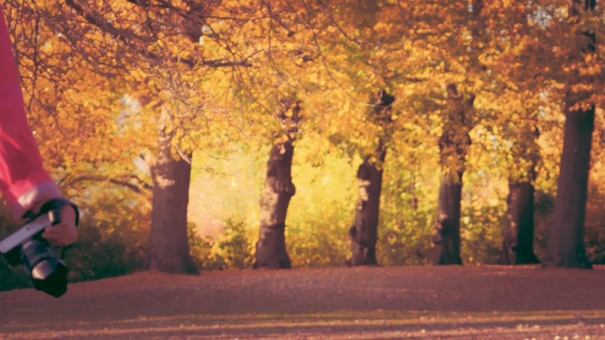 Young fashionable woman in Red cloak with camera in park in autumn.