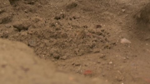 Excavation sand site during investigation
