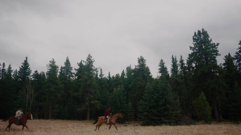 Wide Shot of Galloping Horseback Riders Against Spruce Trees in Alberta Canada Mountain Prairies