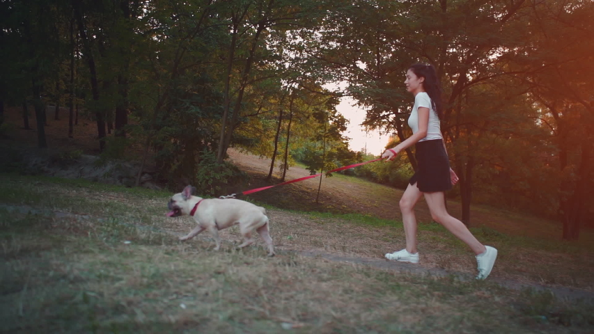young brunette woman walking in autumn park with french bulldog