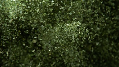 Super Slow Motion Shot of Green Dried and Chopped Seasoning Explosion on Black Background at 1000fps.