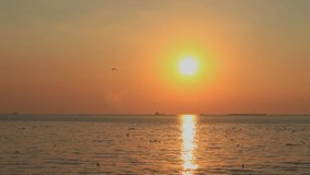 Seagulls are flying beautifully with the sunset behind. Beautiful landscape of nature at Bangpoo, Thailand, 4K high definition video