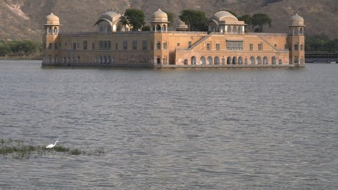 an afternoon view of jal mahal palace and a wading egret at jaipur, india