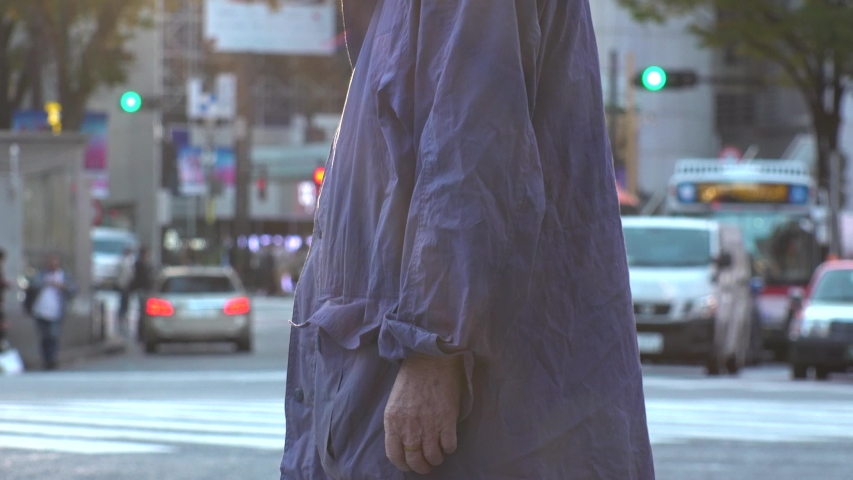 SHIBUYA, TOKYO, JAPAN - NOVEMBER 2019 : Crowd of people at Shibuya Scramble Crossing in busy early evening rush hour. Many commuters and tourists at the street. Shot in sunset time. In front focus.