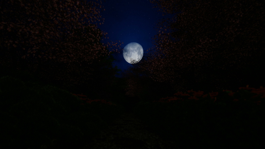 Beautiful japanesse garden with full moon shinning through blossom cherry trees, 4K
