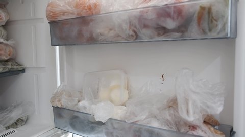 frozen foods in the refrigerator shelves, freezer and frozen foods,