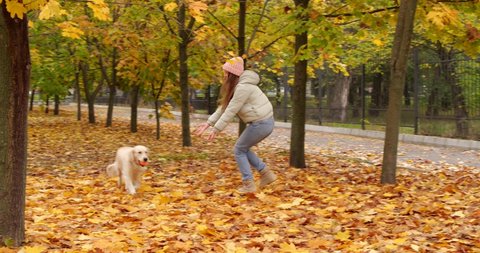 Young woman playing with cute dog in autumn park