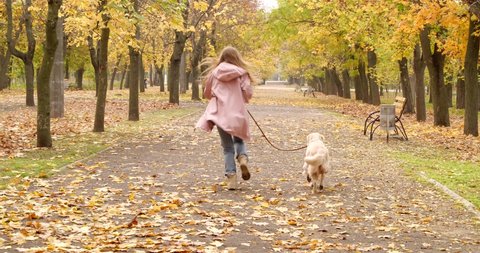 Young woman playing with cute dog in autumn park