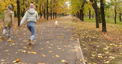 Young couple playing with cute dog in autumn park