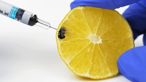 Poison Injected into Lemon from Syringe by Person in Blue Gloves - Powered by Shutterstock - Get 15% off with code: PIKWIZARD15