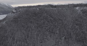 Aerial helicopter shot over snow covered hillside which flattens into a plateau, covered in dark vegetation and snow, drone footage