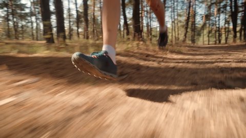 Running Man In Forest At Sunset. Runner Man Fit Athlete Legs Jogging On Trail Ready To Triathlon.Triathlete Running,Sprinting And Endurance Workout Training. Marathon Runner Jog On Trail.Sport Concept