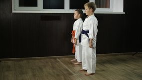 Children in karategi are doing blow hands in rack of karate