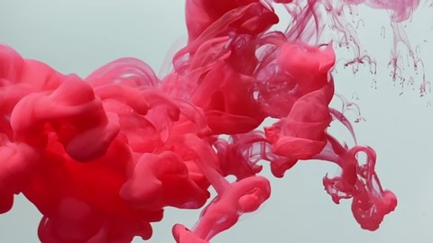 Fantastic slow motion red-pink watercolor ink on a white background. Powerful launch of red paint. The smooth movement of paints in water. Abstract ink background.