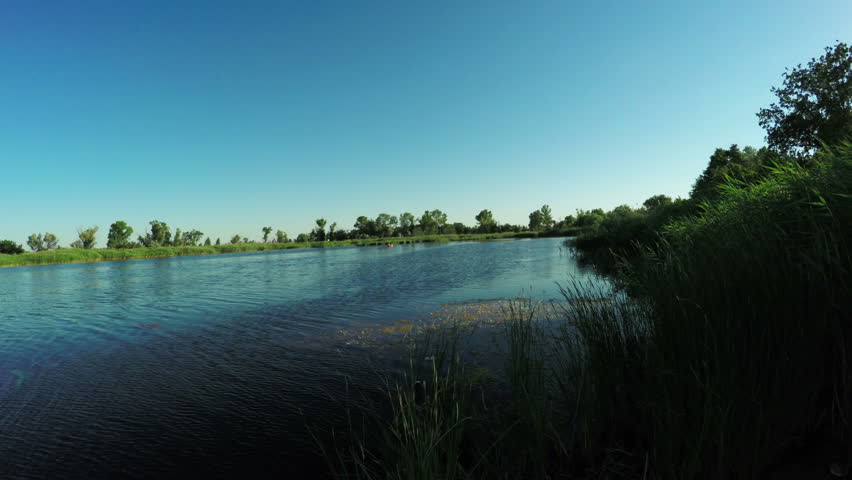 From shore of river beach to reeds