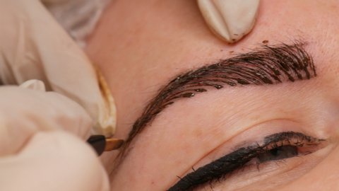 Microblading Eyebrow Tattoo Permanent - Eyebrow Permanent Makeup Microblading Eyebrow Tattoo Permanent - Eyebrow Permanent Makeup