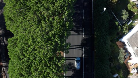 Traffic aerial view of a car on a road with pine trees La Grande Motte France drone top view
