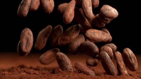 Super Slow Motion Shot of Raw Chocolate Beans Falling into Cocoa Powder at 1000fps.