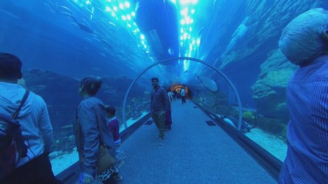 Dubai / United Arab Emirates - 03 15 2019: Dubai Aquarium & Underwater Zoo 