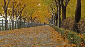 Seongsu park in Autumn at Seoul,South Korea.