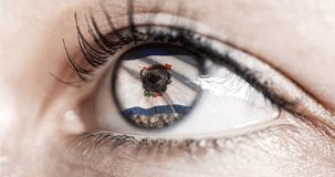 Woman green eye in close up with the flag of West Virginia state in iris, united states of america with wind motion. video concept
