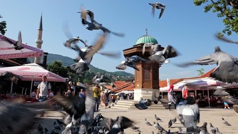 Sarajevo, Bosnia - August 28, 2019: Old Bascarsija square with Sebilj wooden fountain with flying pigeons in Sarajevo old town, BiH. POV moving through flock of Pigeons flying off from the square