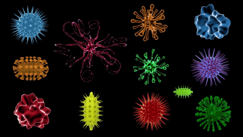 Set of 12 tipes viruses on black background with alpha channel. 3D rendered Animation of a moving viruses. Bacteria, infection, microbe and germs for medical, microbiology biotech and pharma design.  | Shutterstock HD Video #1041617323