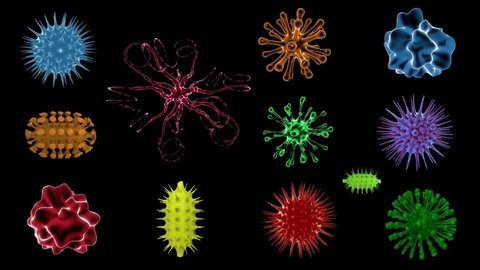 Set of 12 tipes viruses on black background with alpha channel. 3D rendered Animation of a moving viruses. Bacteria, infection, microbe and germs for medical, microbiology biotech and pharma design. 