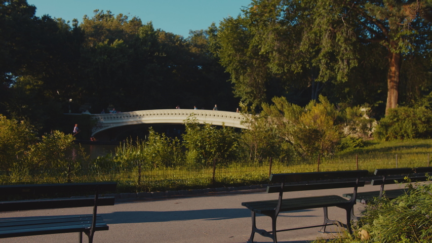 Young girl in Central Park in summer day