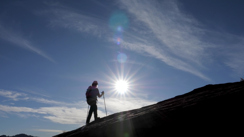 atmosphere hiking poles