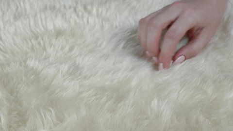 Female hand touching fluffy texture of real animal fur. Closeup of a hand stroking natural fluffy, warm and soft wool. tenderness and wealth concept