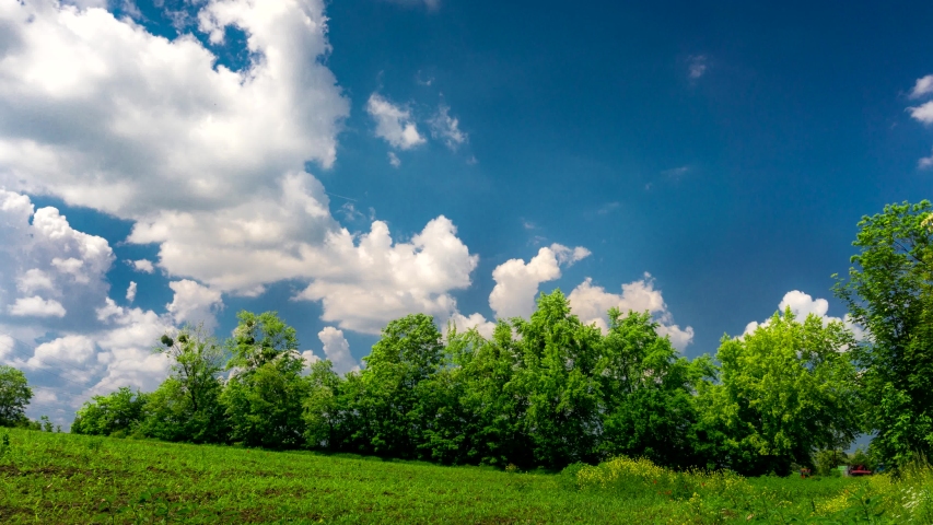 Beautiful Meadow under Blue Sky.
