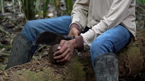 Closeup of worker cutting coconut Brazil nut shell with machete in the Amazon rainforest during harvest season in the forest. Environment, sustainability, ecology, conservation and food concept.