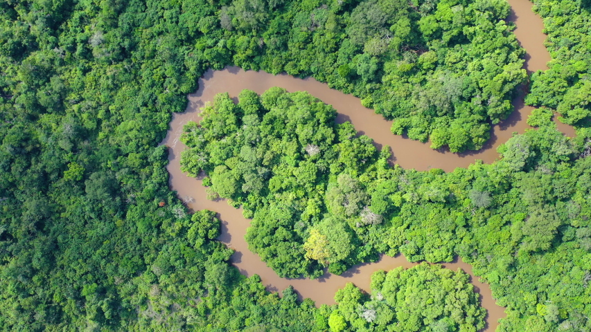 Aerial view of a meandering jungle river in the dense rainforest of the Congo Basin. Odzala National Park, Republic of Congo. | Shutterstock HD Video #1041669013