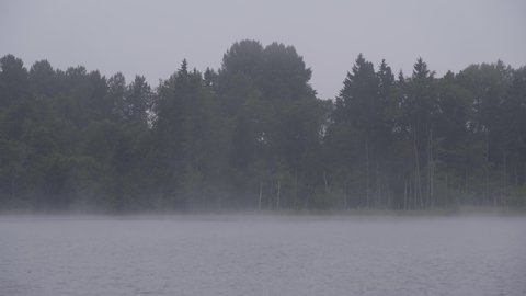 Fog over the lake near pine forest, sunset Europe