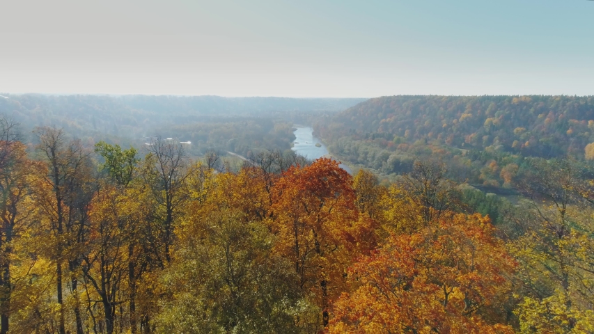 River and Forest in Autumn Sigulda city nature, Gauya, 4K drone flight, bridge car drive from above