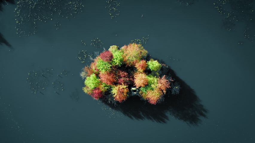 Colorful autumn fantasy island located in the middle of the Beatrix park in Almere, The Netherlands