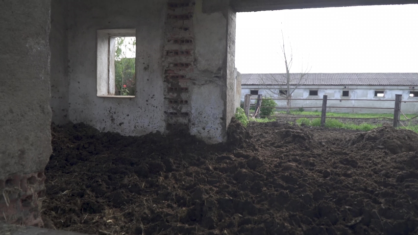 farm with outdoor shoots for pigs