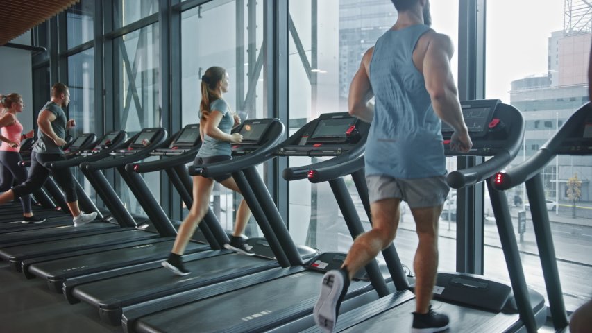 Group of Six Athletic People Running on Treadmills, Doing Fitness Exercise. Athletic People Actively Workout in the Modern Gym. Sports People Workout in Fitness Club. Side View Slow Motion Royalty-Free Stock Footage #1041682681