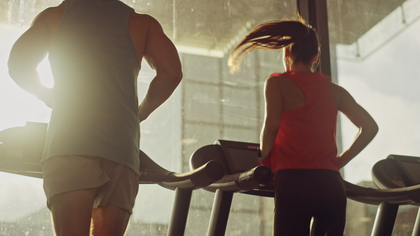Group of Athletic People Running on Treadmills in a Row, Doing Fitness Exercise. Athletic and Muscular Women and Men Actively Training in the Modern Gym. Side View Golden Hour Sunny Light Royalty-Free Stock Footage #1041686356
