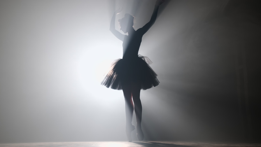 Professional ballerina dancing ballet in spotlights smoke on big stage. Beautiful young girl wearing black tutu dress on floodlights background. Black and white. 4k | Shutterstock HD Video #1041692866