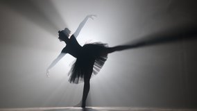 Professional ballerina dancing ballet in spotlights smoke on big stage. Beautiful young girl wearing black tutu dress on floodlights background. Black and white. 4k - Powered by Shutterstock - Get 15% off with code: PIKWIZARD15