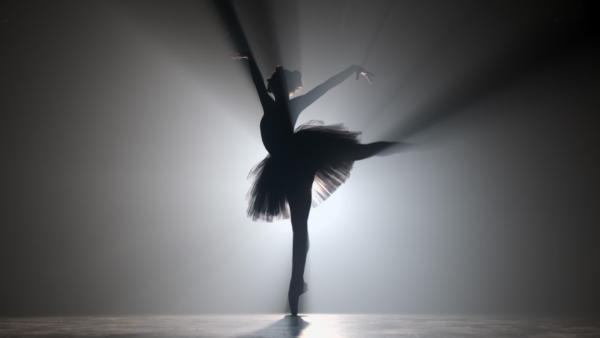 Shutterstock video thumbnail